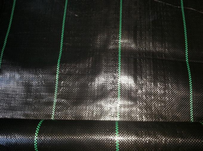 Крышка сплетенная полипропиленом пластиковая земная, ткань сада черноты 100гсм 4.2кс100м