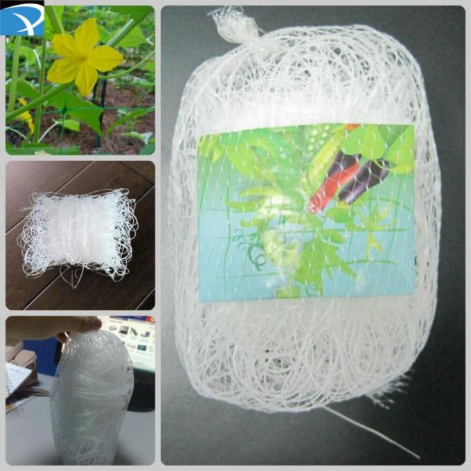 Используемая вертикалью пластиковая сеть поддержки завода, плетение шпалеры огурца ПП белое