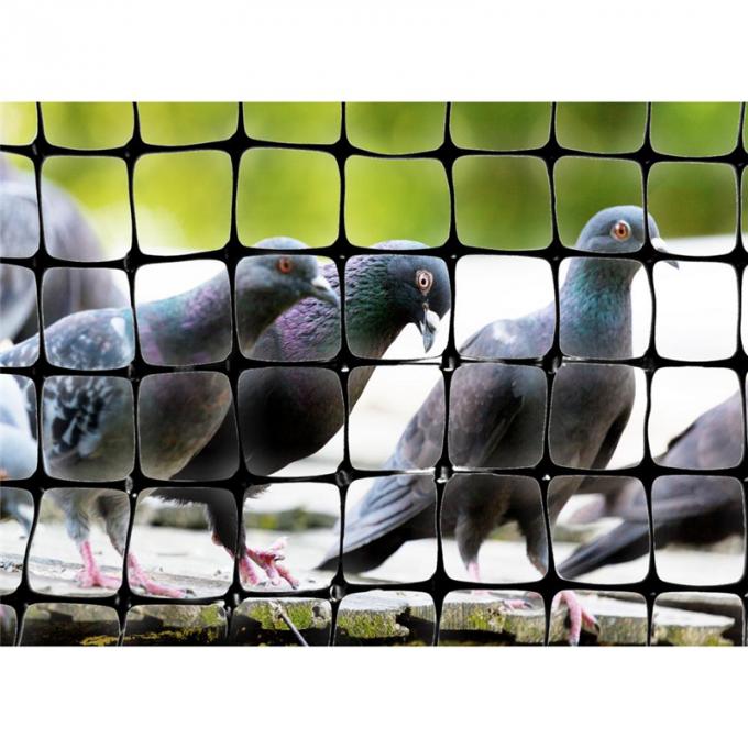 Сеть птицы пластикового штранг-прессования ХДПЭ анти- для аграрного виноградника