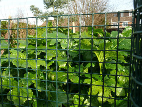 Темная ая-зелен пластиковая загородка сада связала ХДПЭ с УЛЬТРАФИОЛЕТОВОЙ устойчивой сеткой 20*20мм