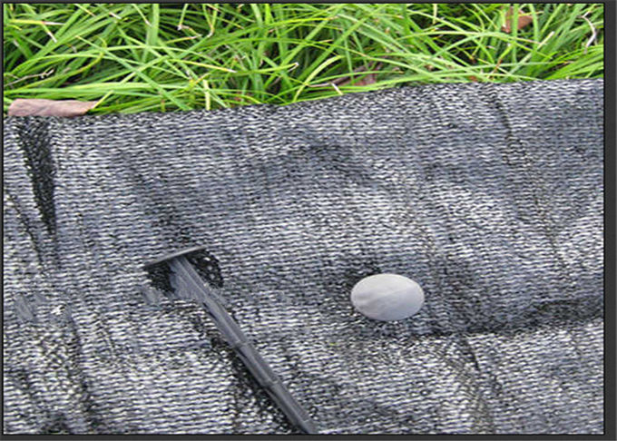 Аграрная пластиковая черная мембрана для садов защищает заводы в земной поверхности доступной