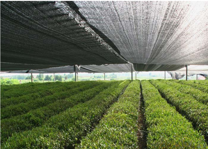 Аграрные сильные ветеры ручки сети тени Солнца крыши сельского хозяйства доступная ширина 1м до 6м