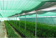 High Reliable Green Garden Sun Shade Net / Hdpe Shade Fabric For Greenhouse