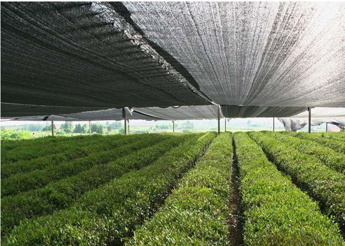 Одобренный ИСО тарифа ткани 90гсм 80% тени аграрного сельского хозяйства ультрафиолетовый устойчивый